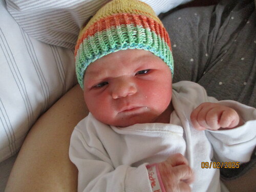 Foto von Lina Sophie 