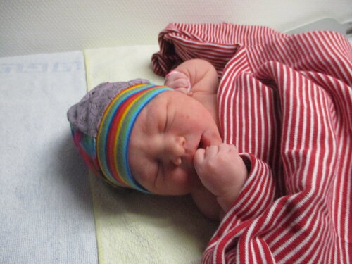 Foto von Lilli Lou 