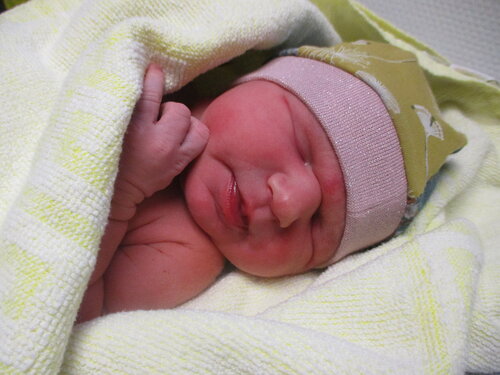 Foto von Cleo Elisabeth Bandle