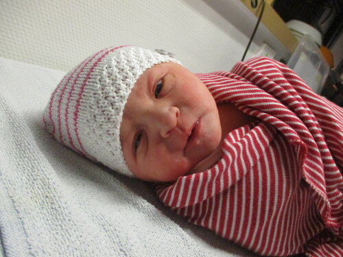 Foto von Zoe Frieda 