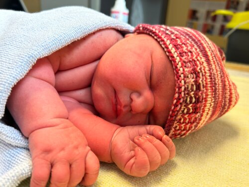 Foto von Lilly Metz