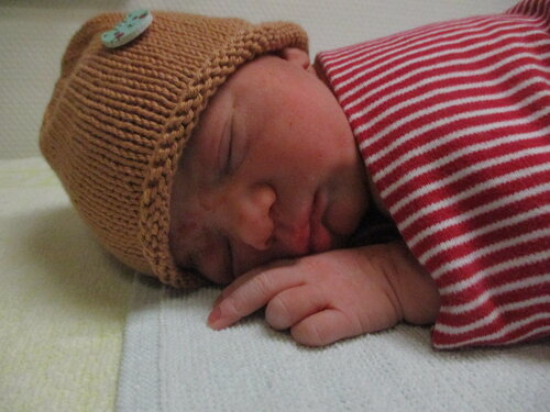 Foto von Josefine Luise Willa