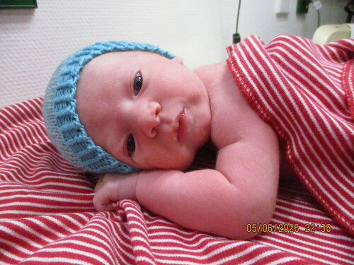 Foto von Noah Limberger