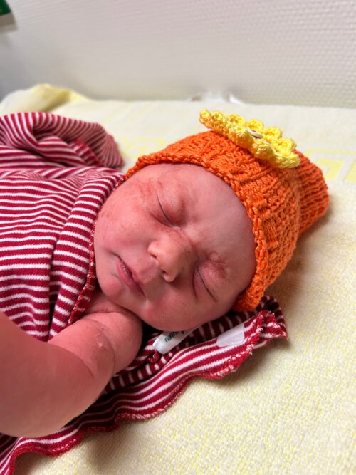 Foto von Solea Gehring