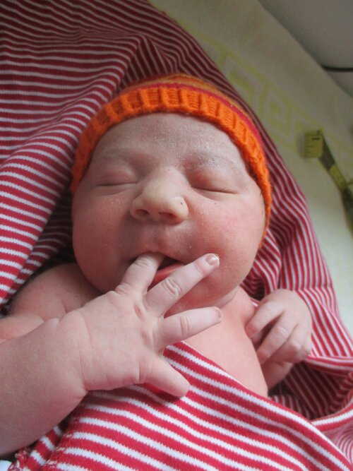 Foto von Paulina Gehring